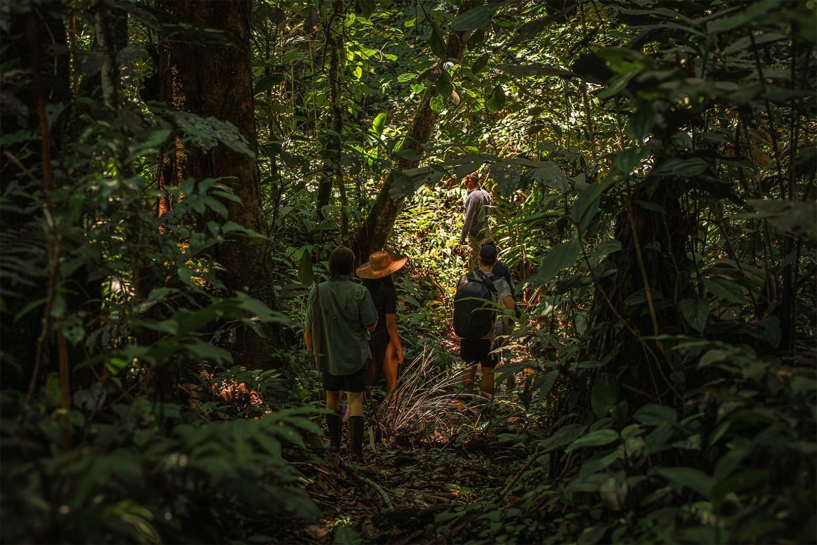Grupo caminando con gu&iacute;a por un sendero en el interior de la selva