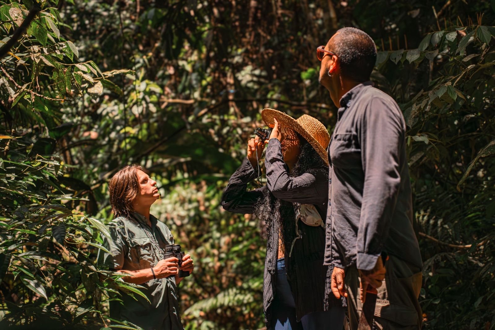 Avistamiento de aves con gu&iacute;a en el interior del bosque