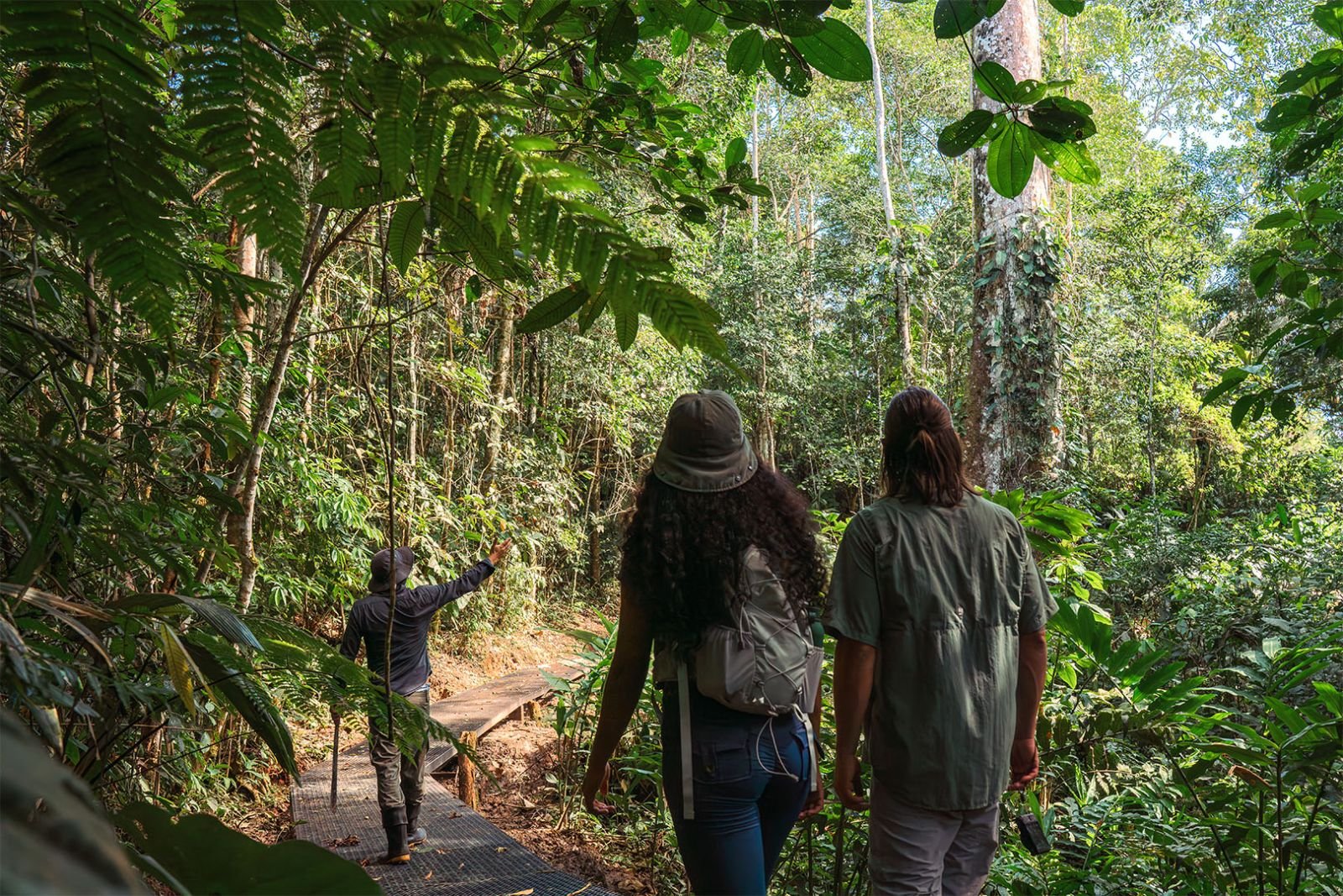 Pasarela de madera entre la vegetación del sendero