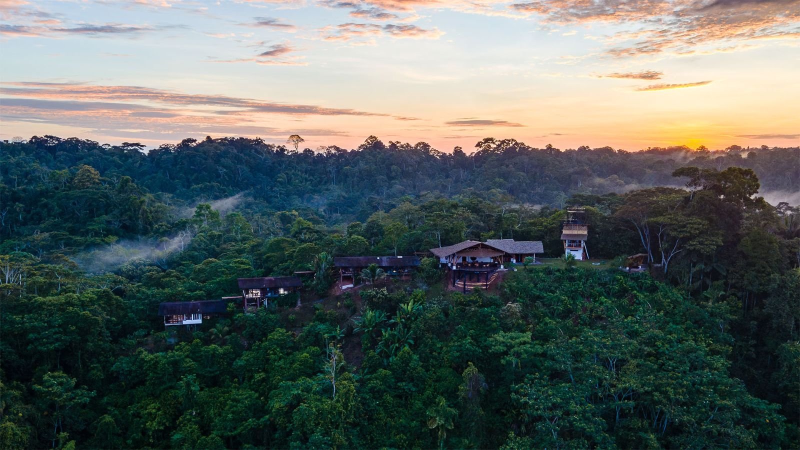 Amazon View en lo alto de la selva al amanecer, con neblina entre los &aacute;rboles