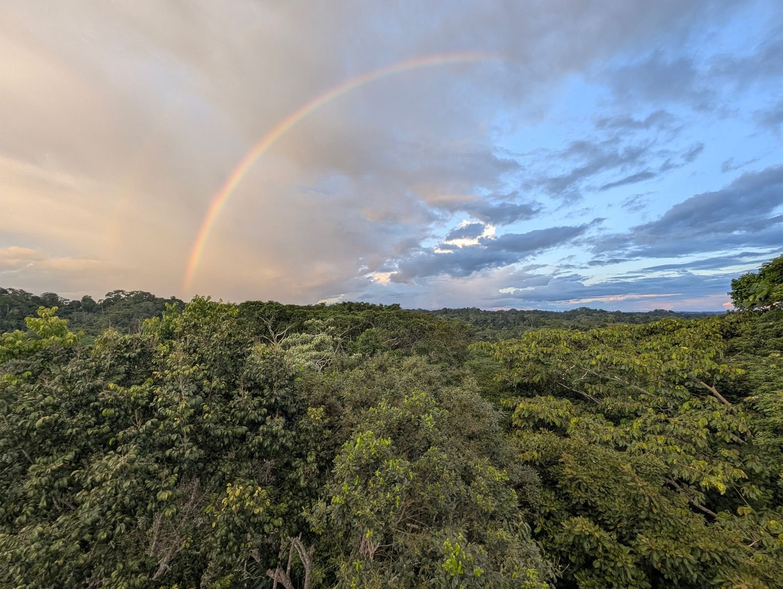 Arcoíris sobre el dosel de la selva visto desde lo alto