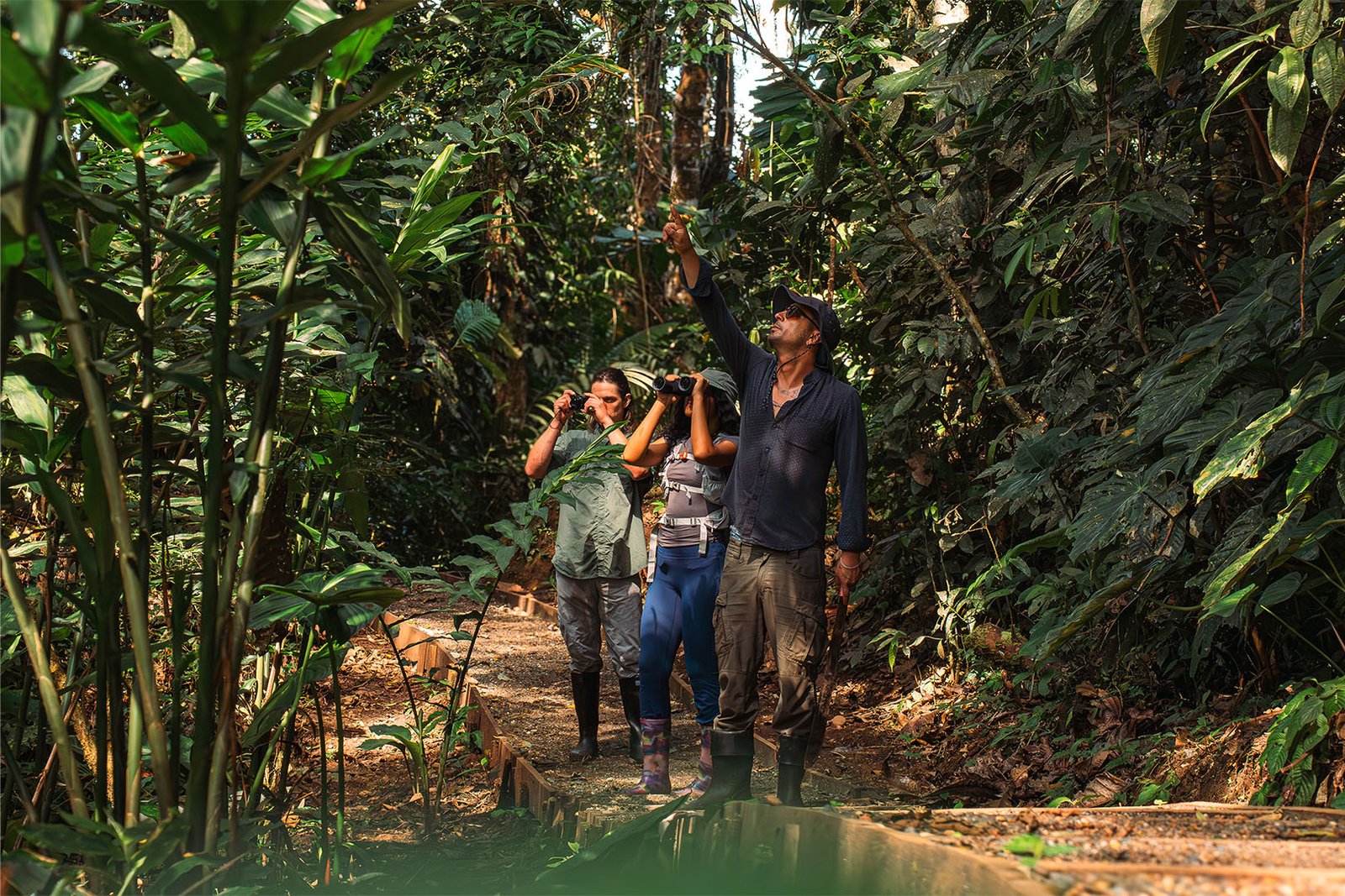 Gu&iacute;a se&ntilde;alando un ave a dos hu&eacute;spedes con binoculares en el sendero